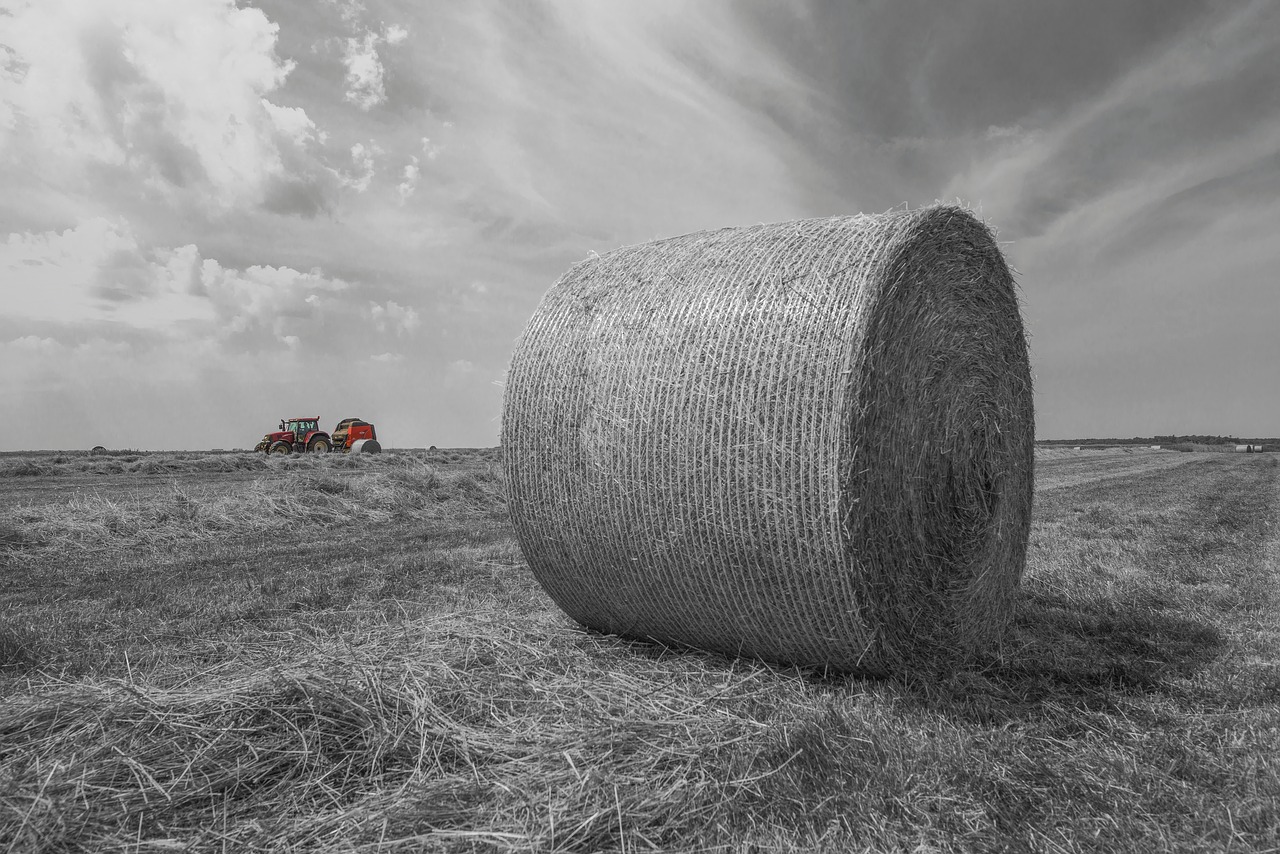 hay bales tractor harvest free photo