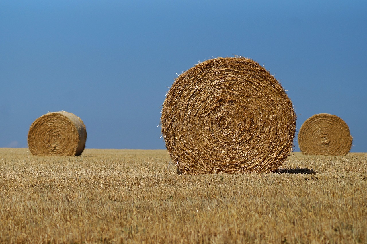hay bales  straw  agriculture free photo