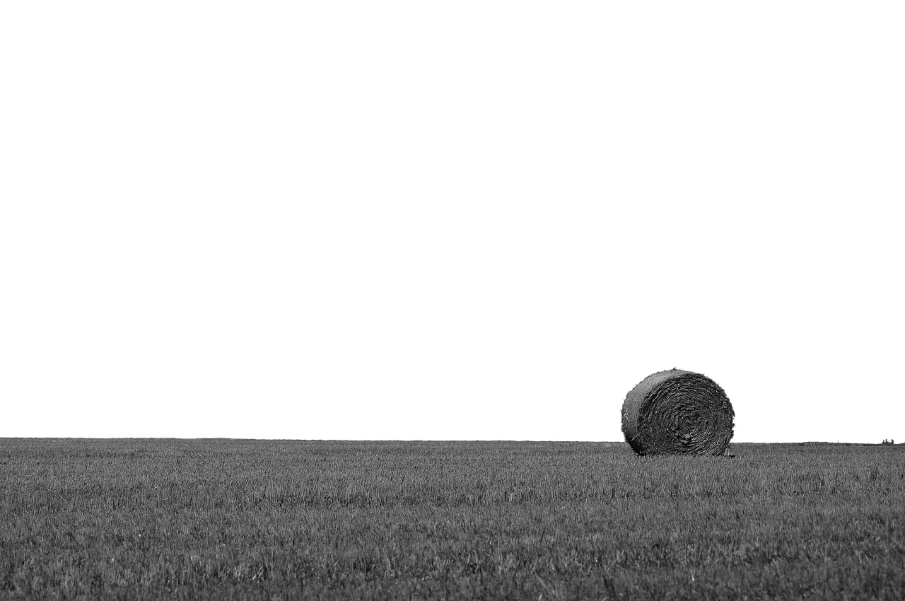 hay bales  isolated  transparent free photo