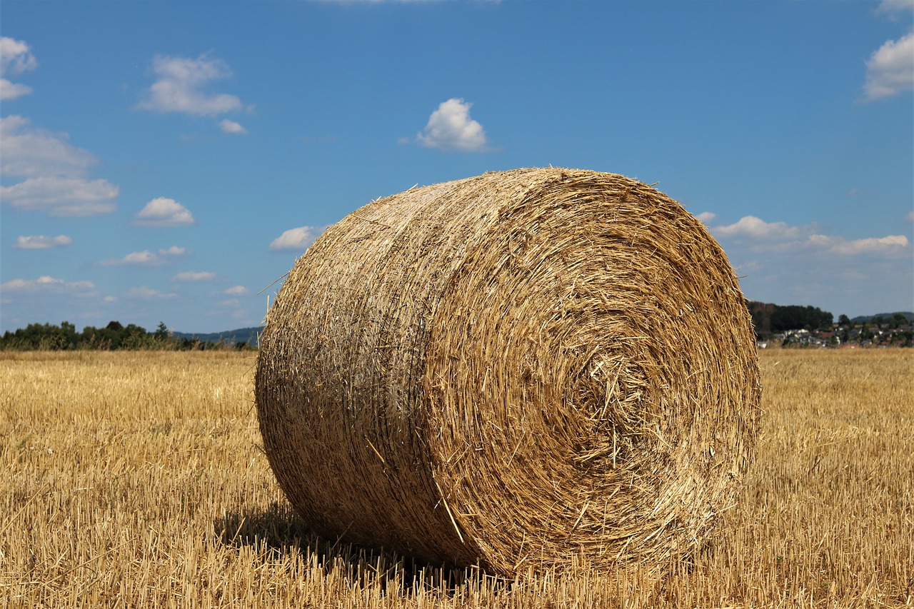 hay bales  free standing  round free photo