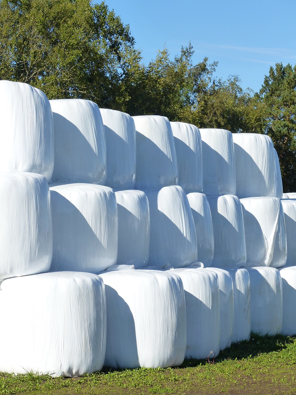 hay bales plastic white free photo