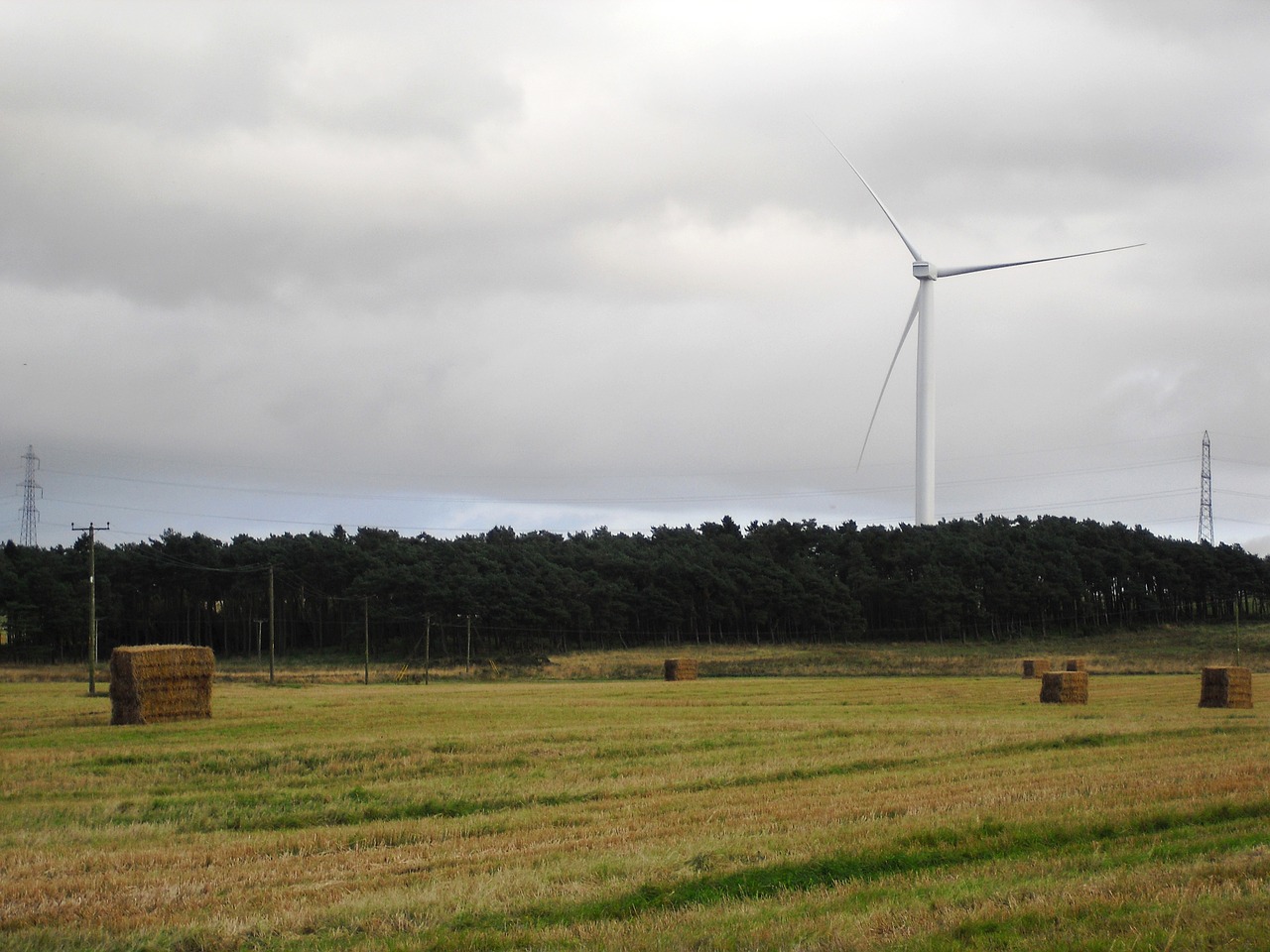 hay bales field wind turbine free photo