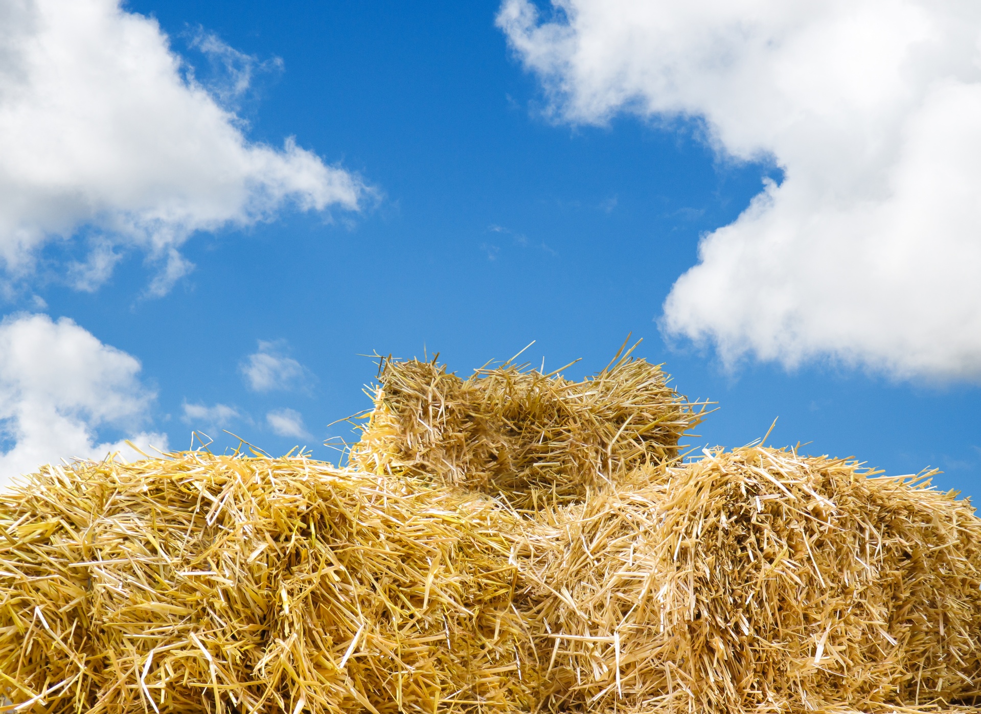 Download free photo of Hay bale,hay bales,straw,hay stack,blue - from  