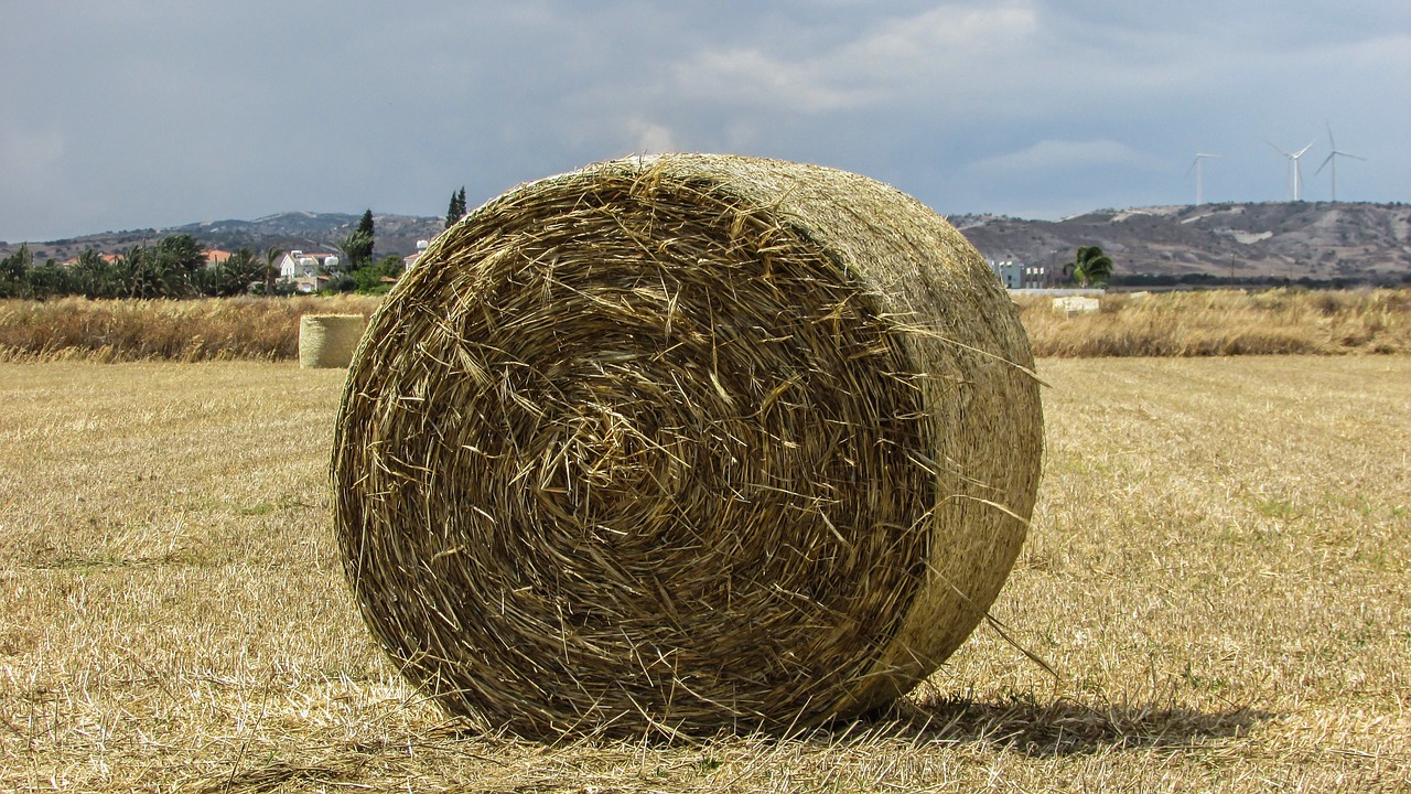 hay ball hay forage free photo