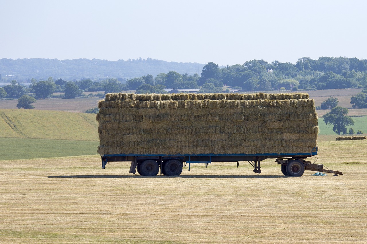 hay harvest hot weather summertime free photo