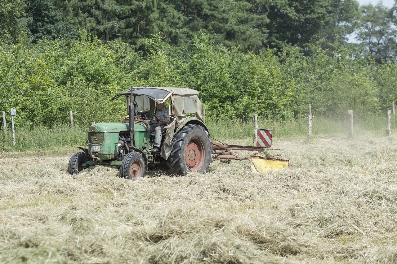 haymaking agriculture hay free photo