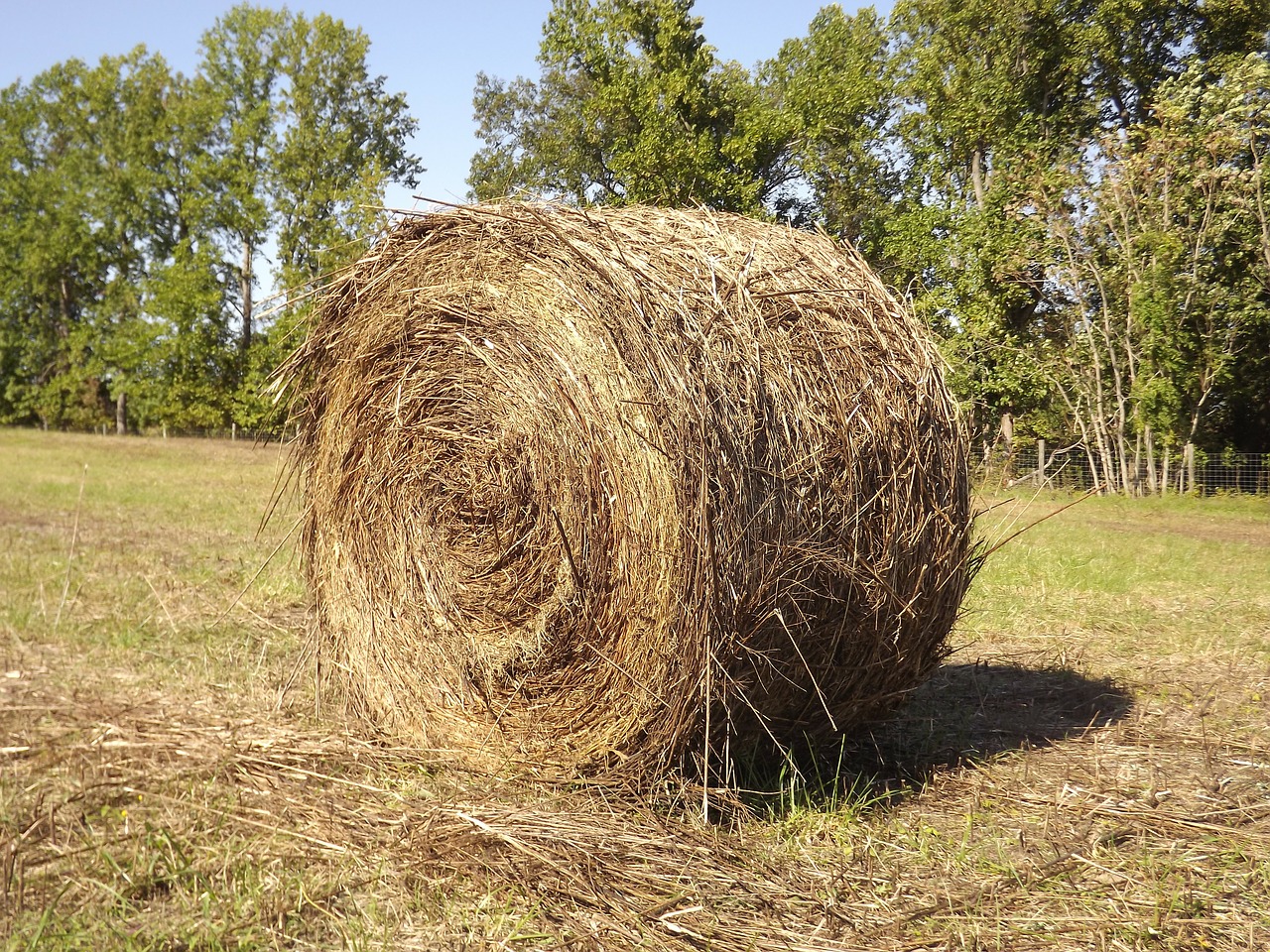 haystack farm hay free photo