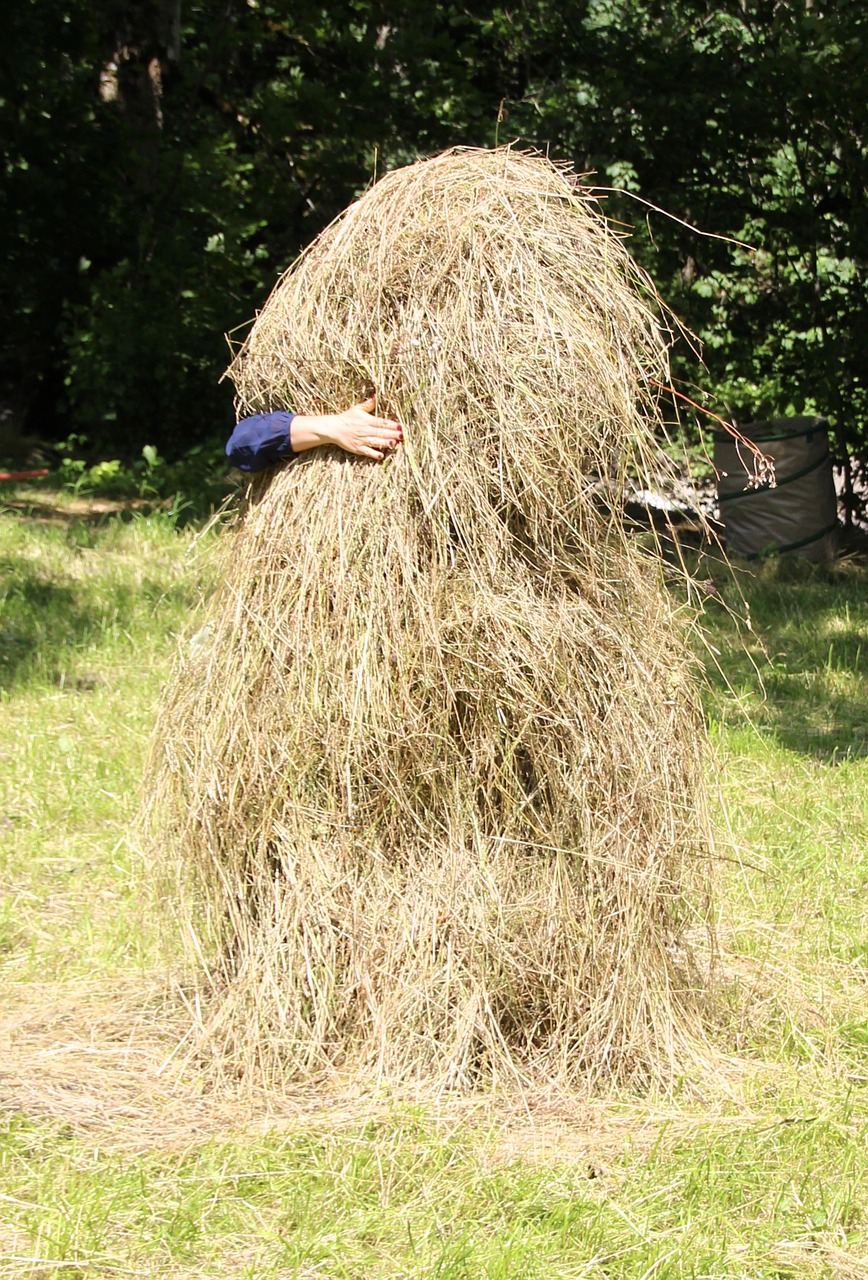 haystack yoda pile free photo