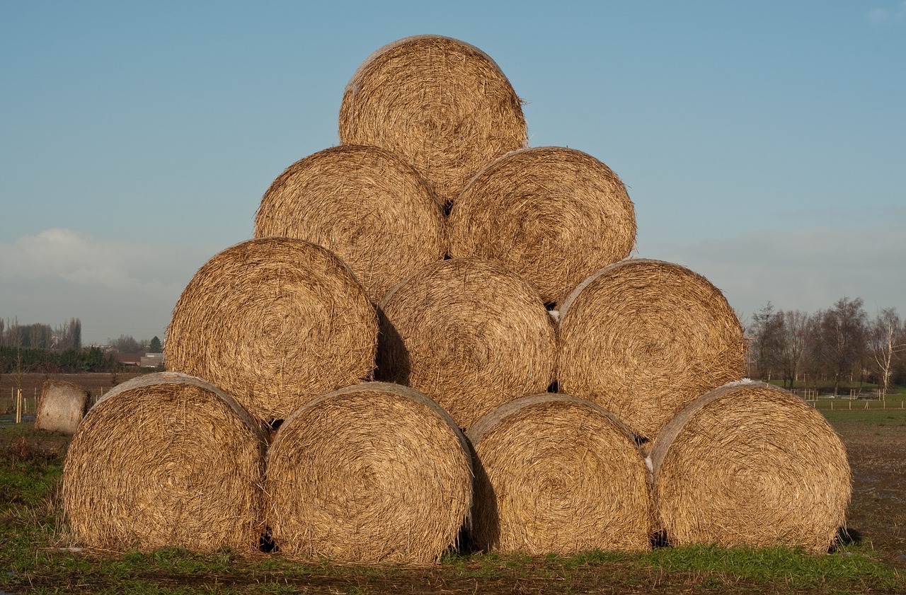 haystack straw agriculture free photo