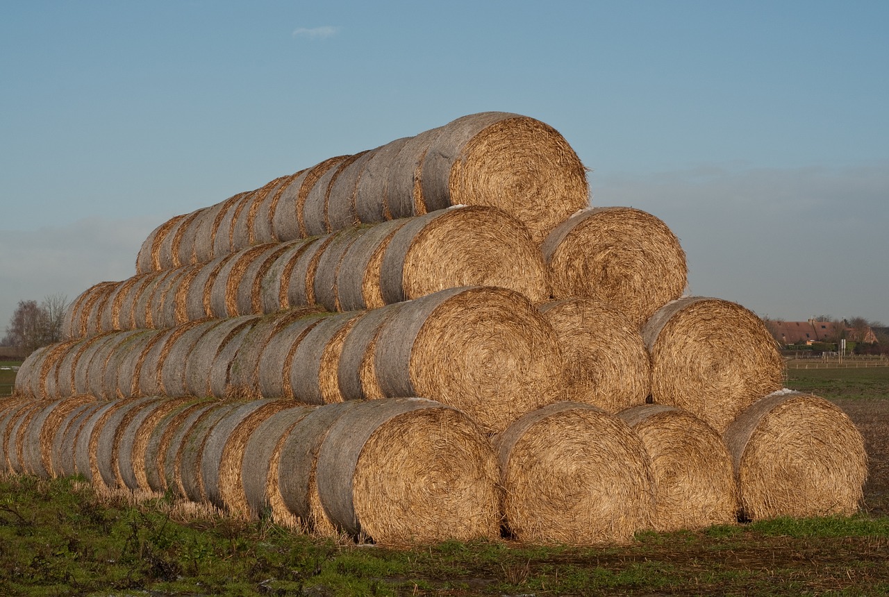 haystack straw agriculture free photo