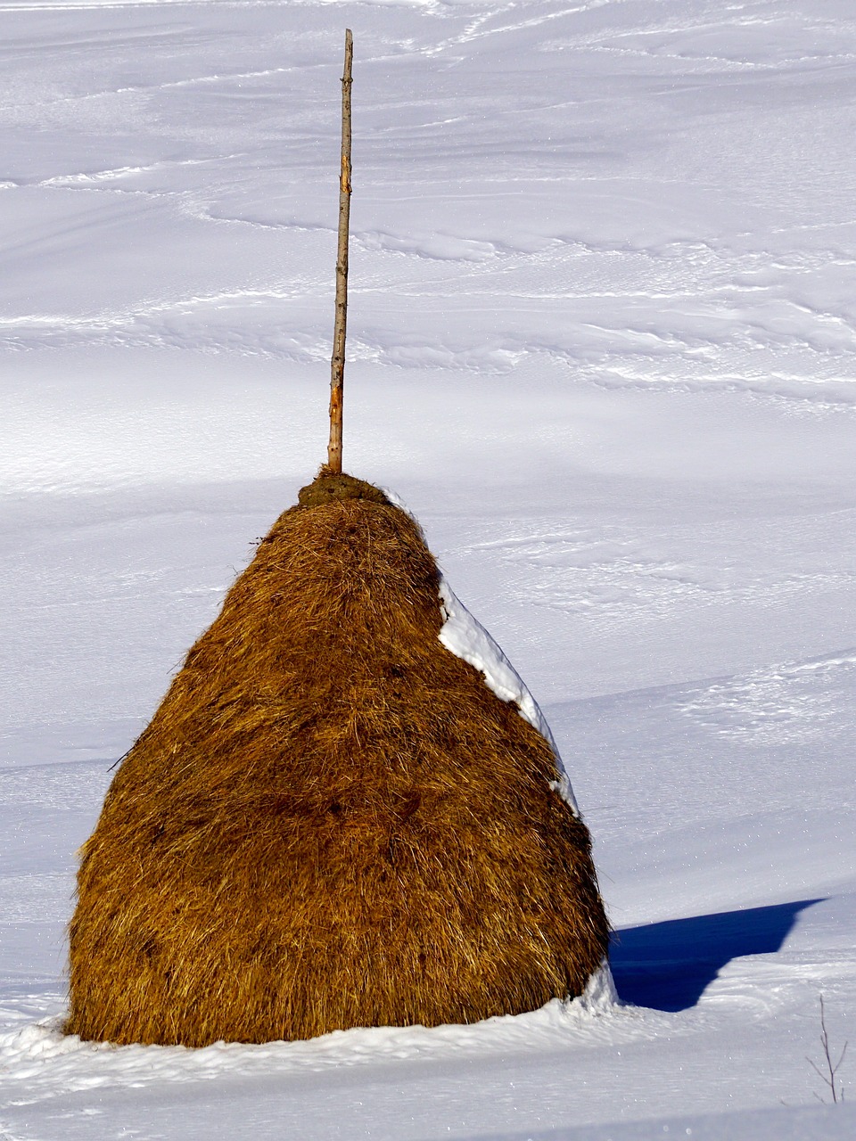 haystack snow winter free photo