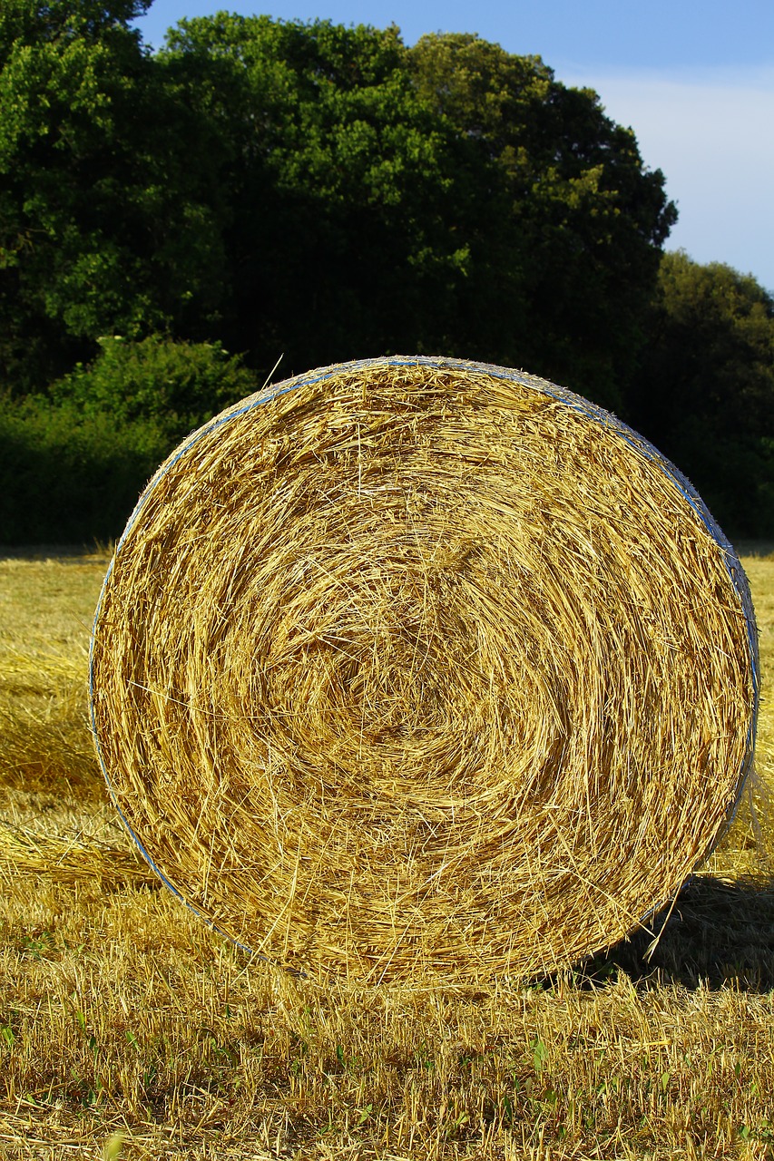 haystack farm hay free photo