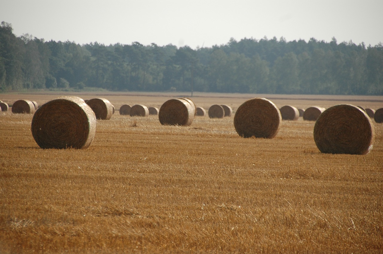 haystack countryside agriculture free photo