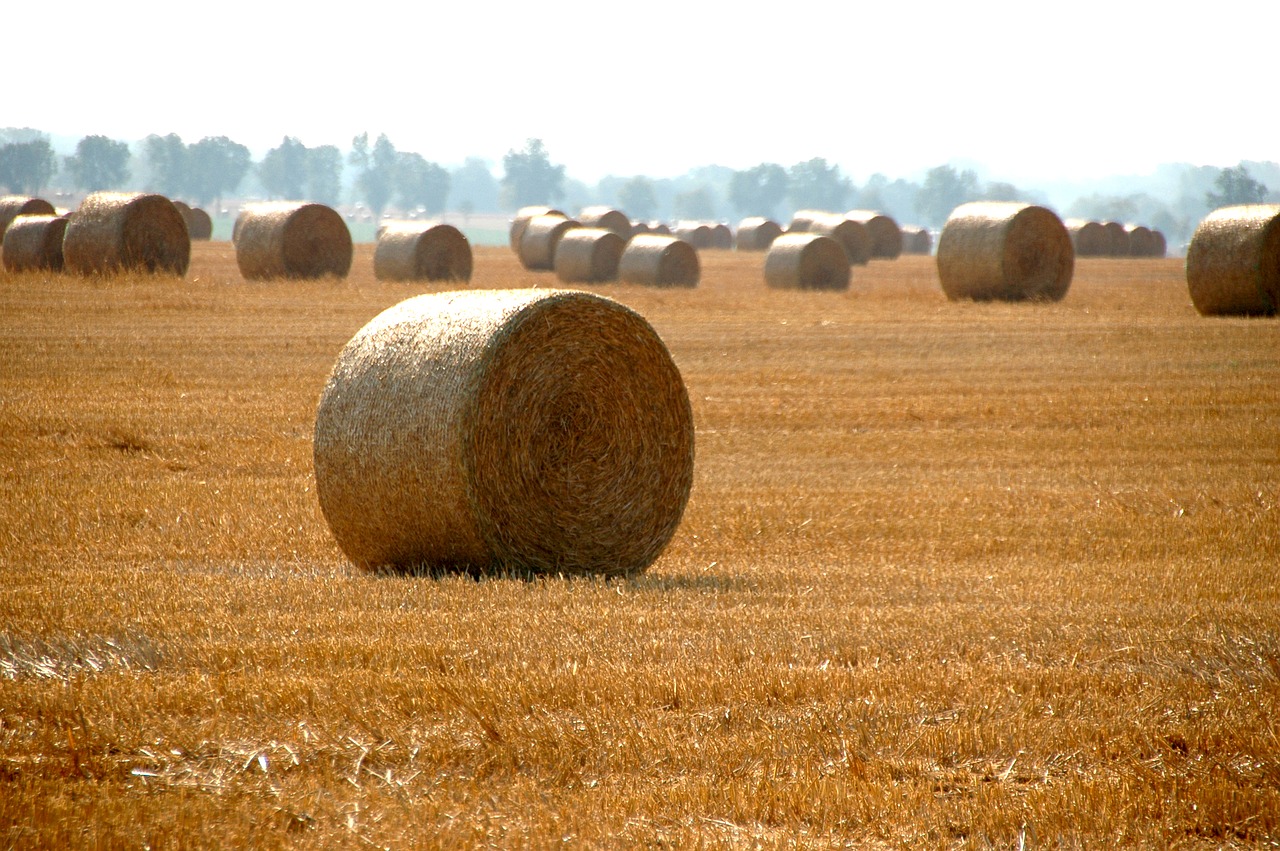 haystack countryside agriculture free photo