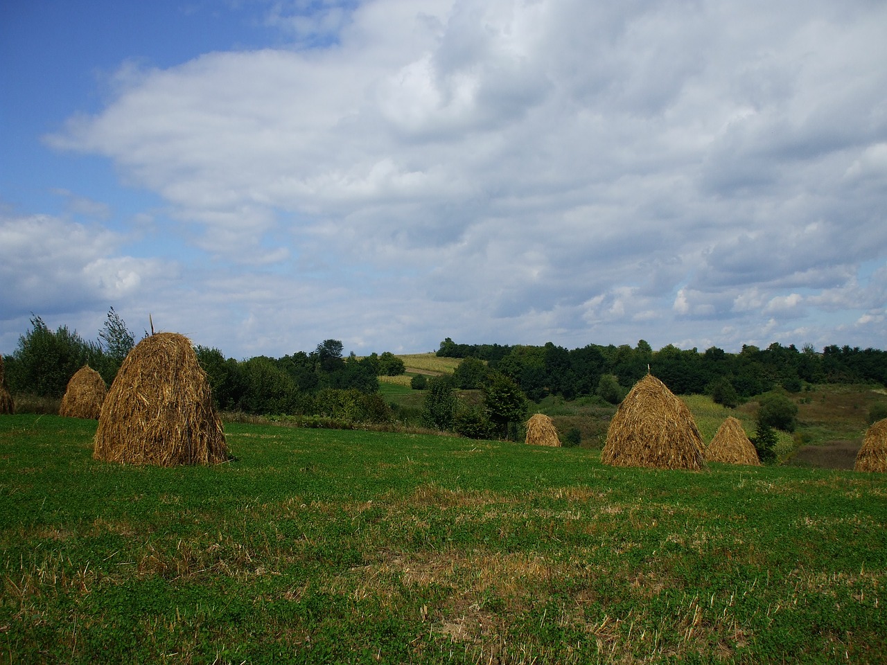 haystacks rural countryside free photo