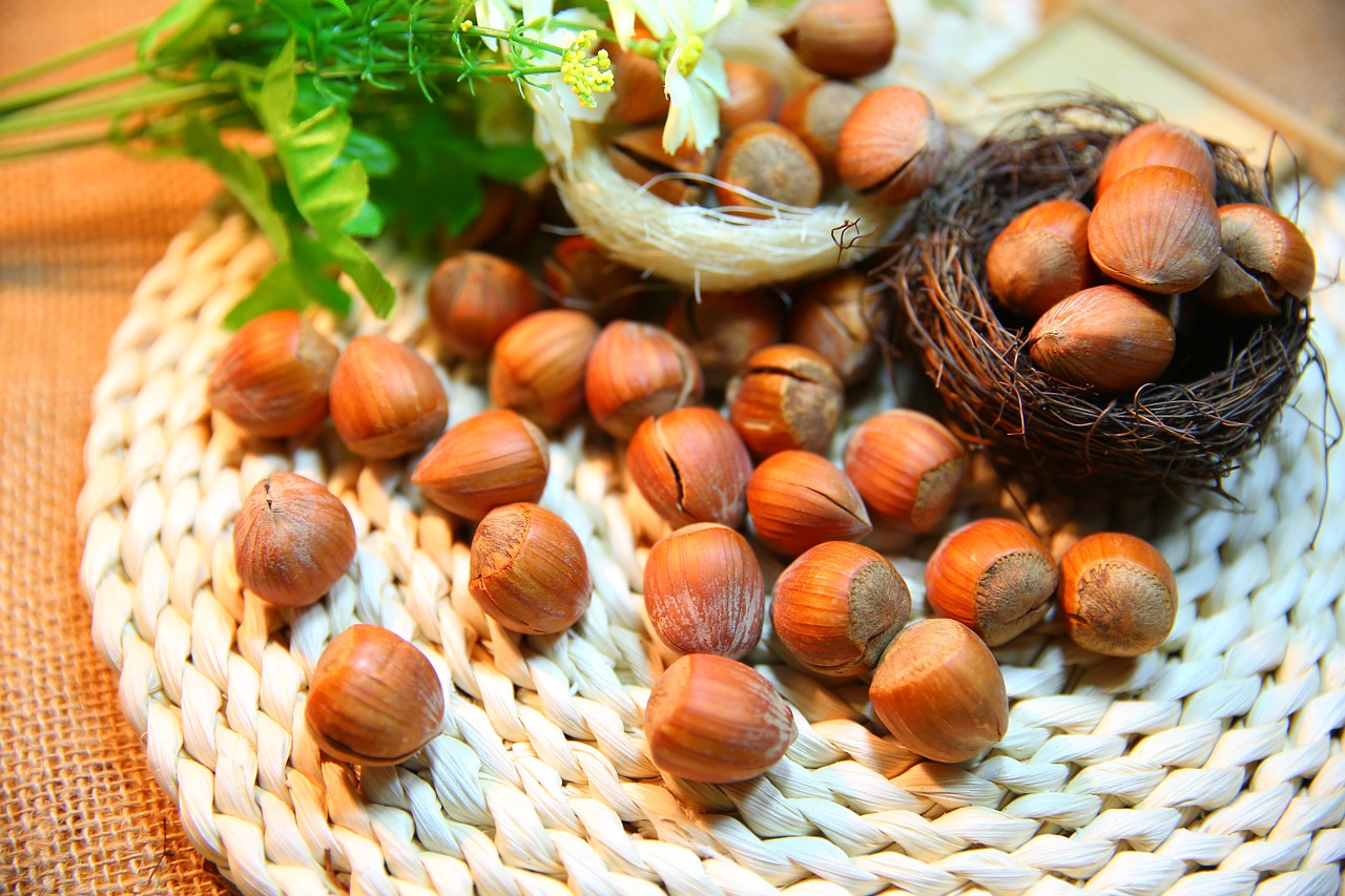 hazelnut nut protein free photo