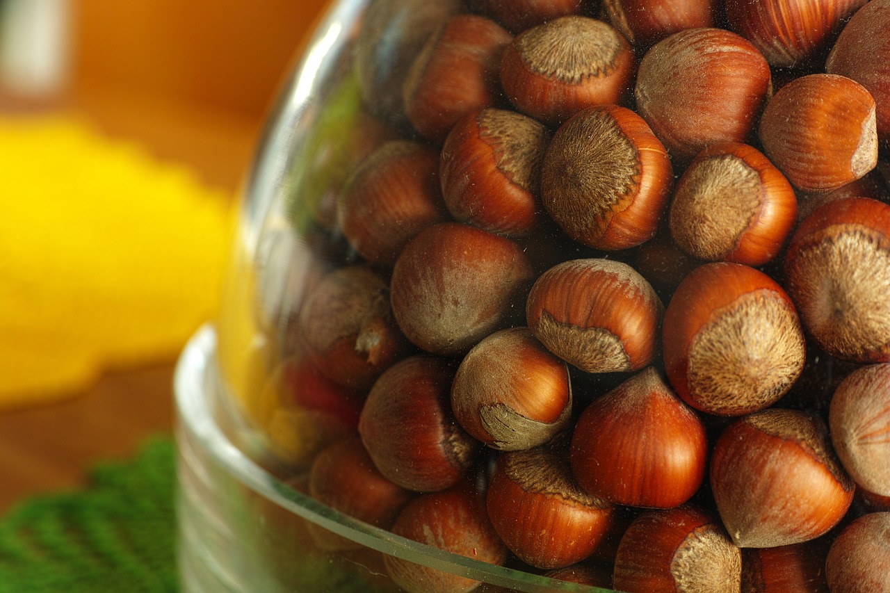 hazelnut dried fruits and nuts macro free photo
