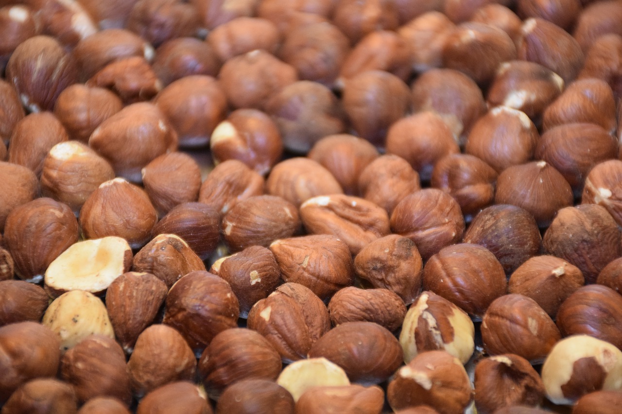 hazelnut  peanut  nut free photo