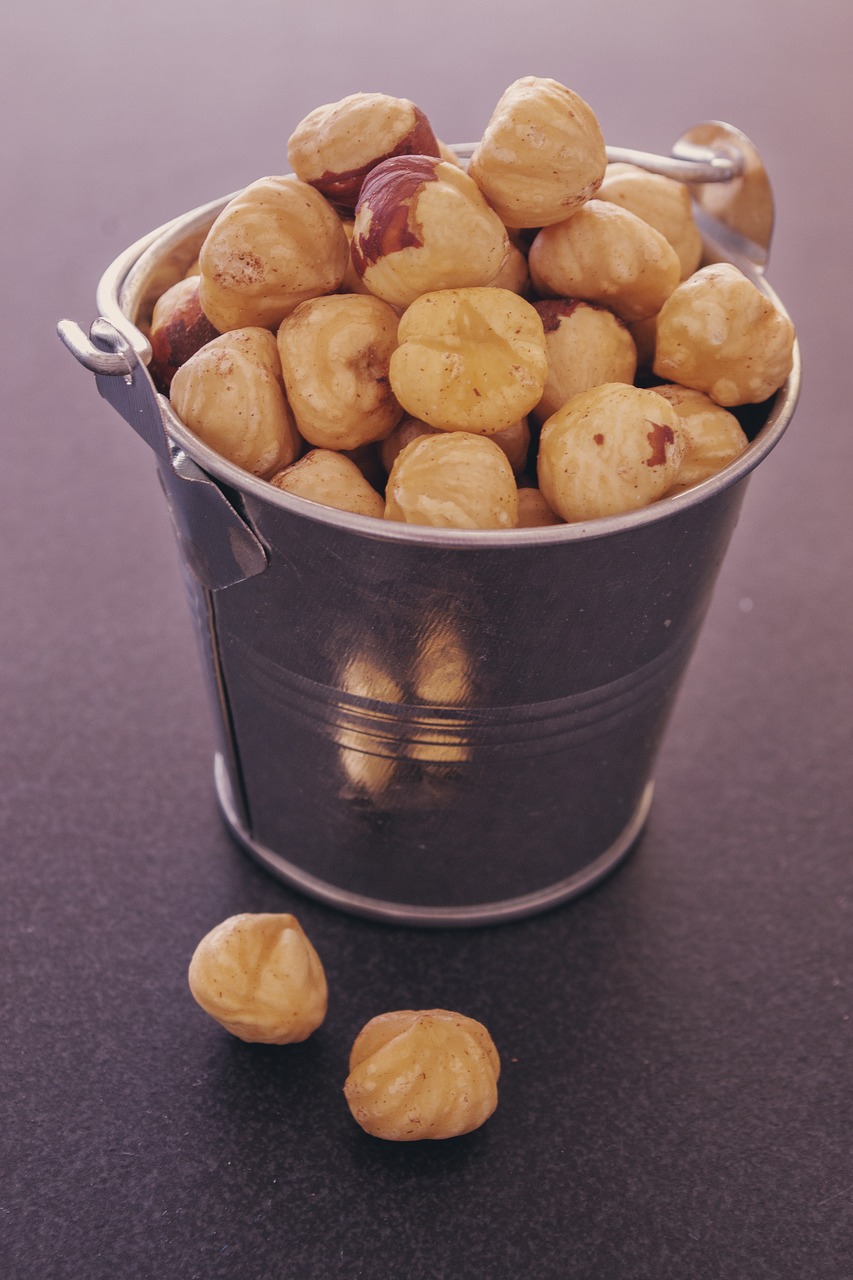 hazelnuts metallic bucket food food photography free photo