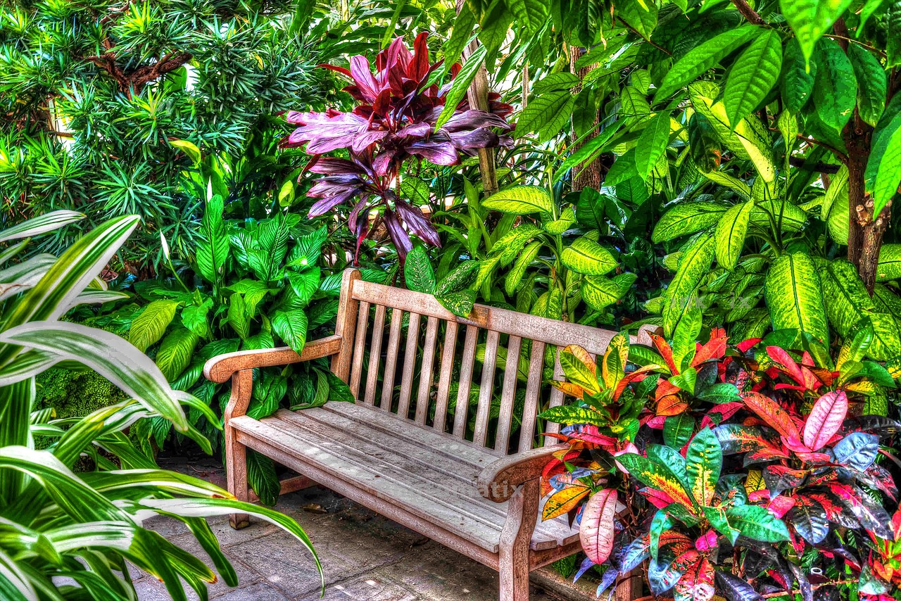 hdr greenhouse garden free photo