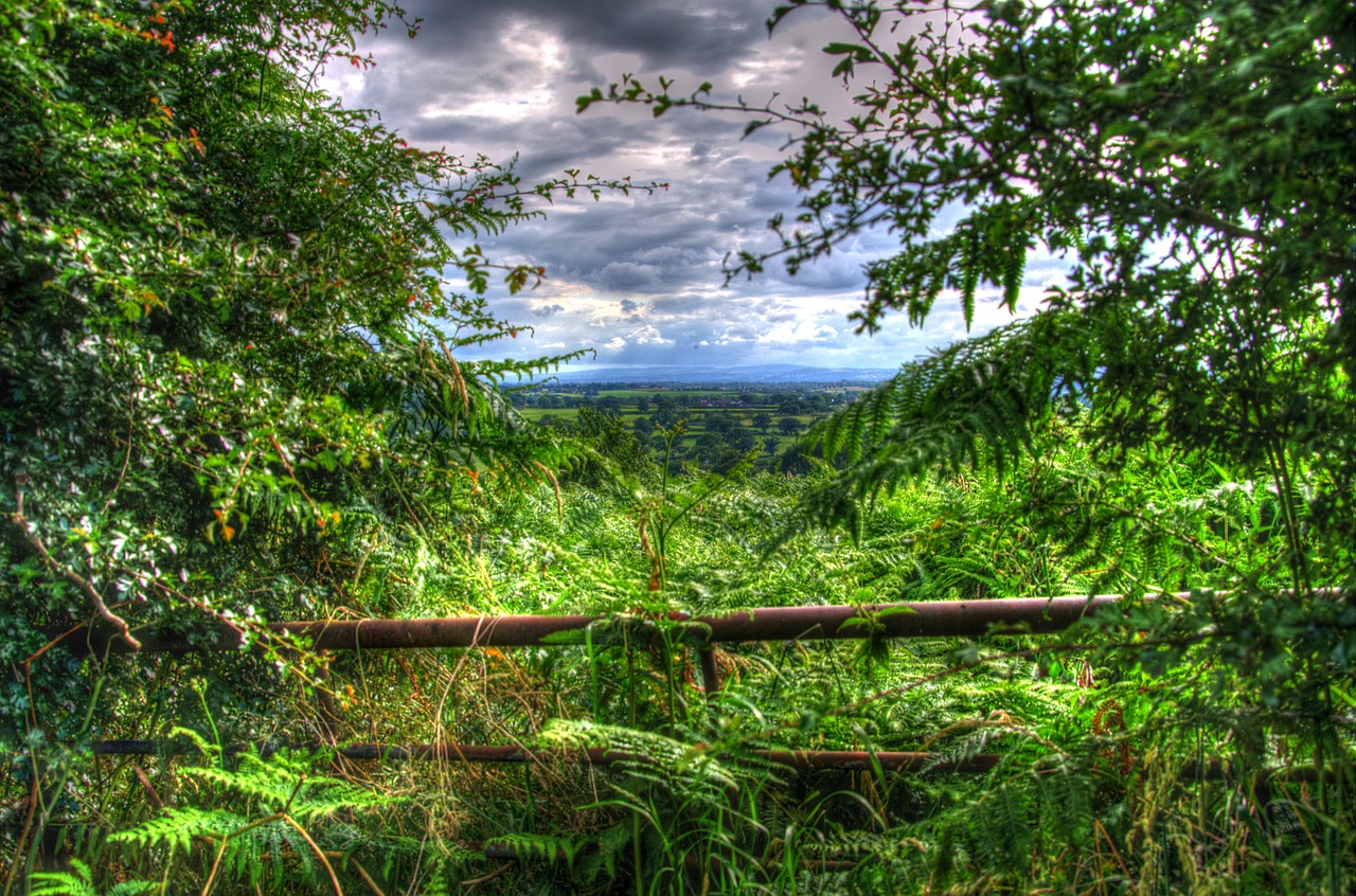 hdr landscape view free photo