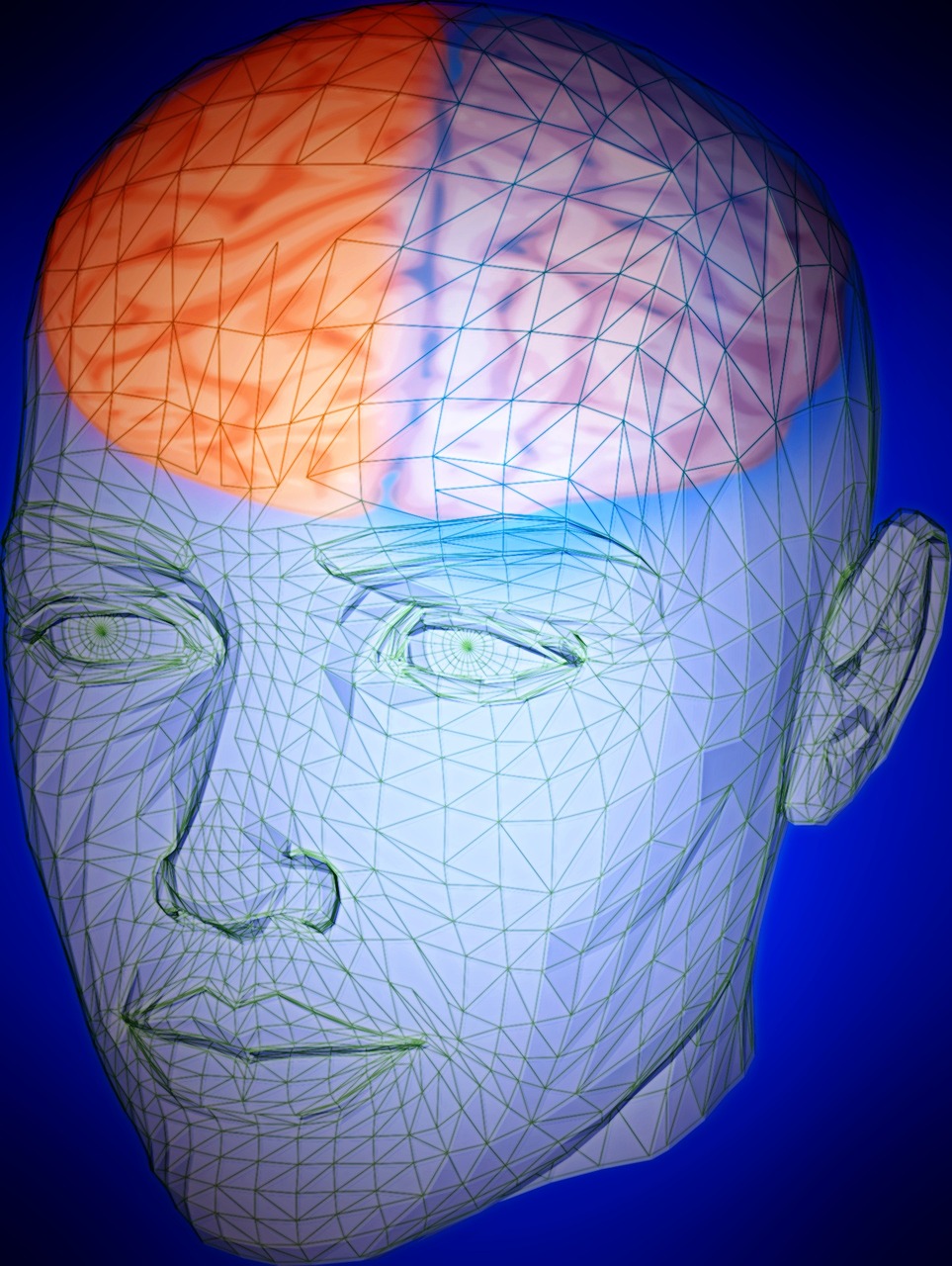 head brain human free photo