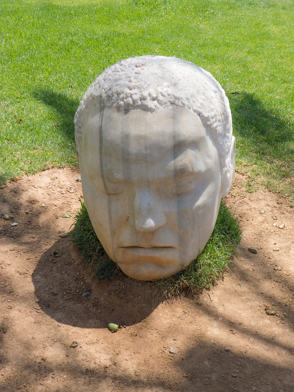 head statue garden free photo