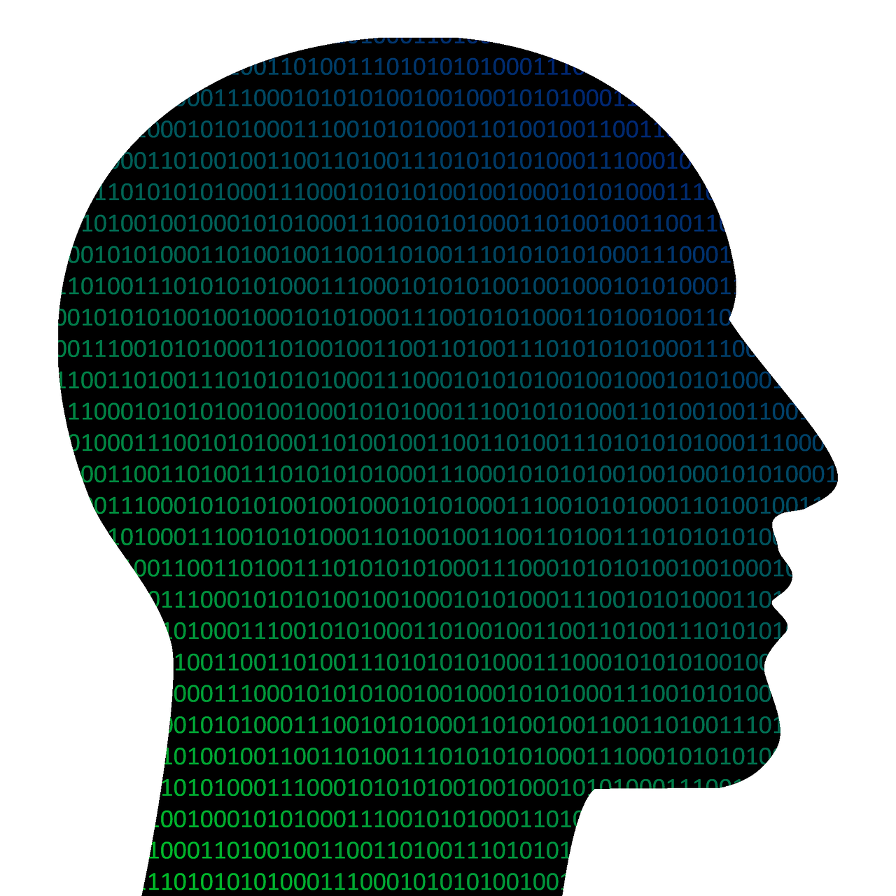 head binary coding free photo