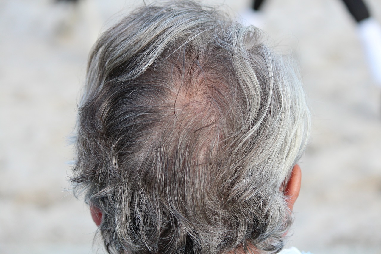 head hair grey free photo