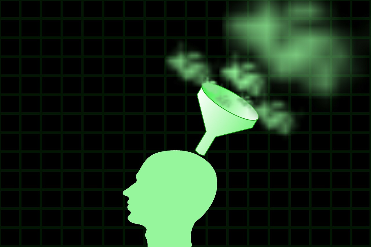 head funnel perception free photo