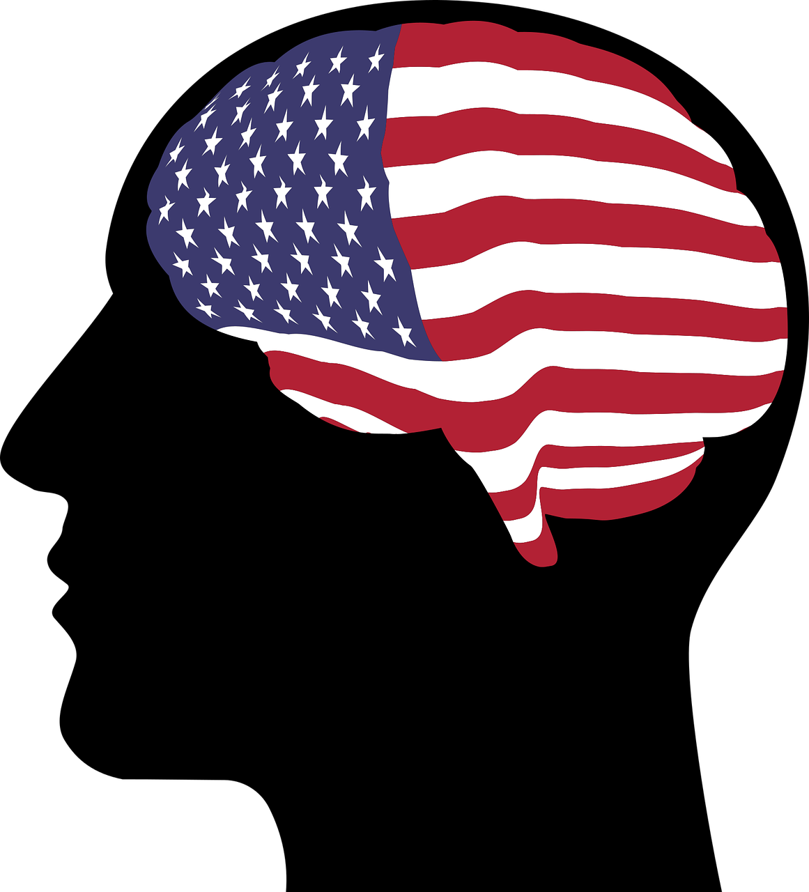 head  america  flag free photo