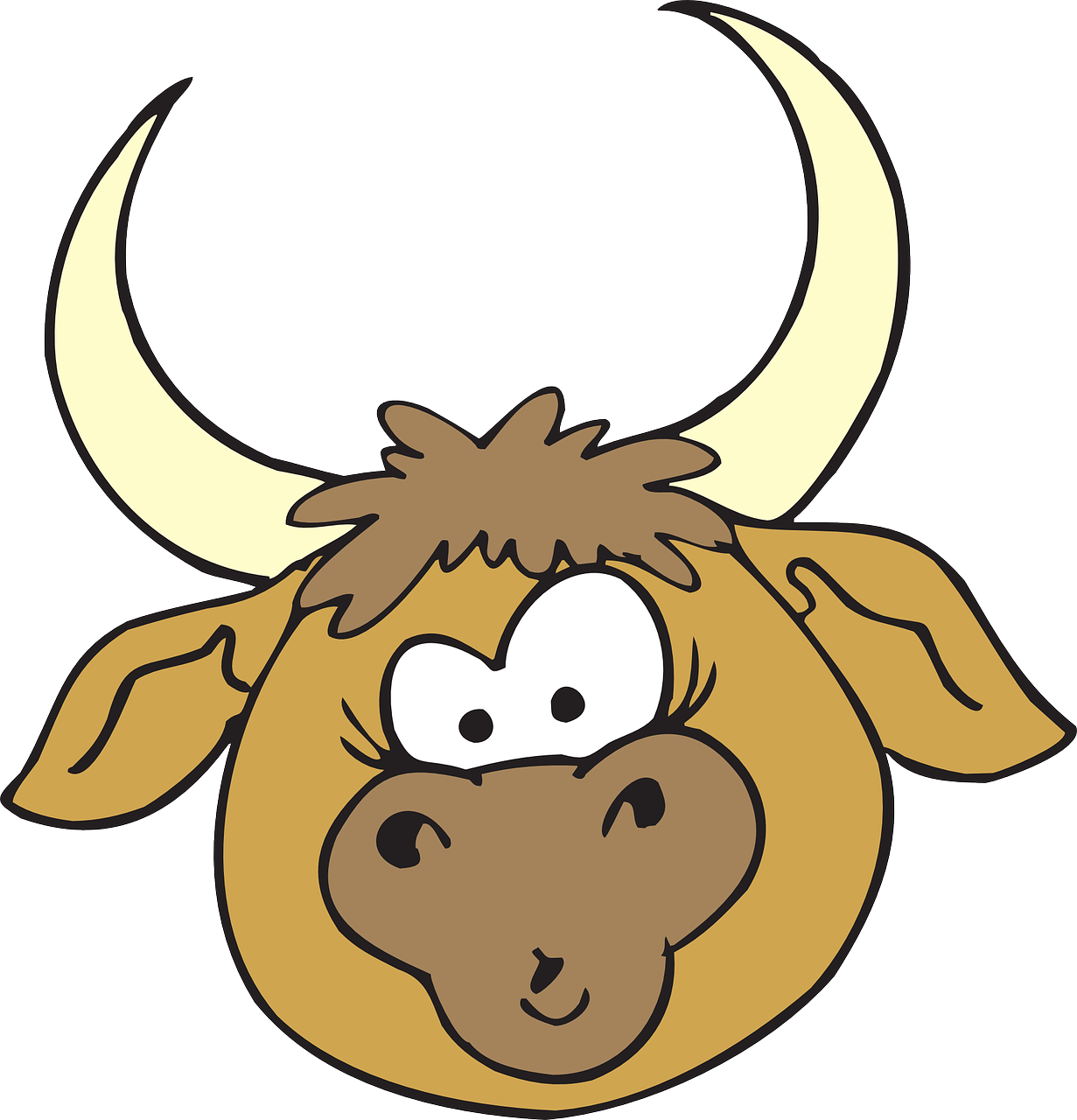 head bull horns free photo