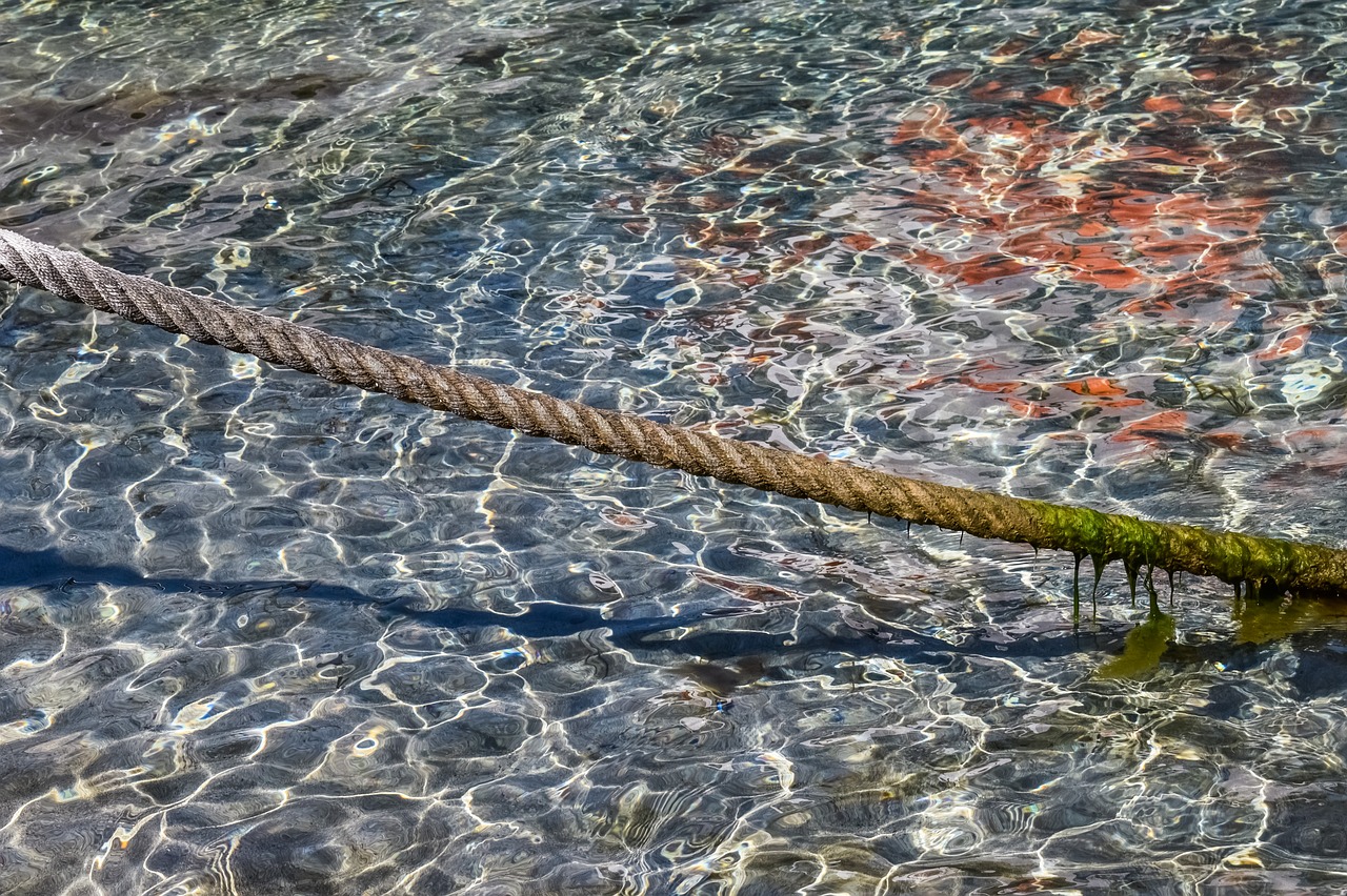 head rope rope nautical free photo