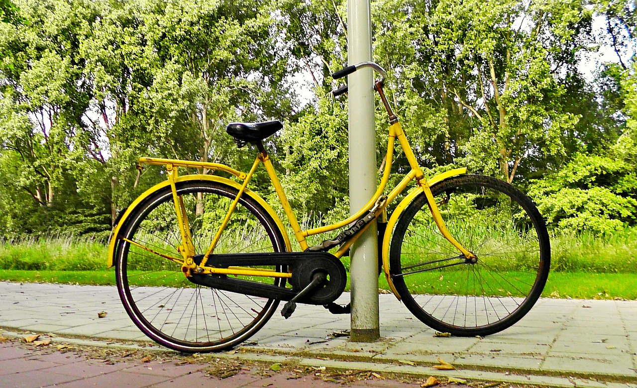 bicycle bike vintage free photo