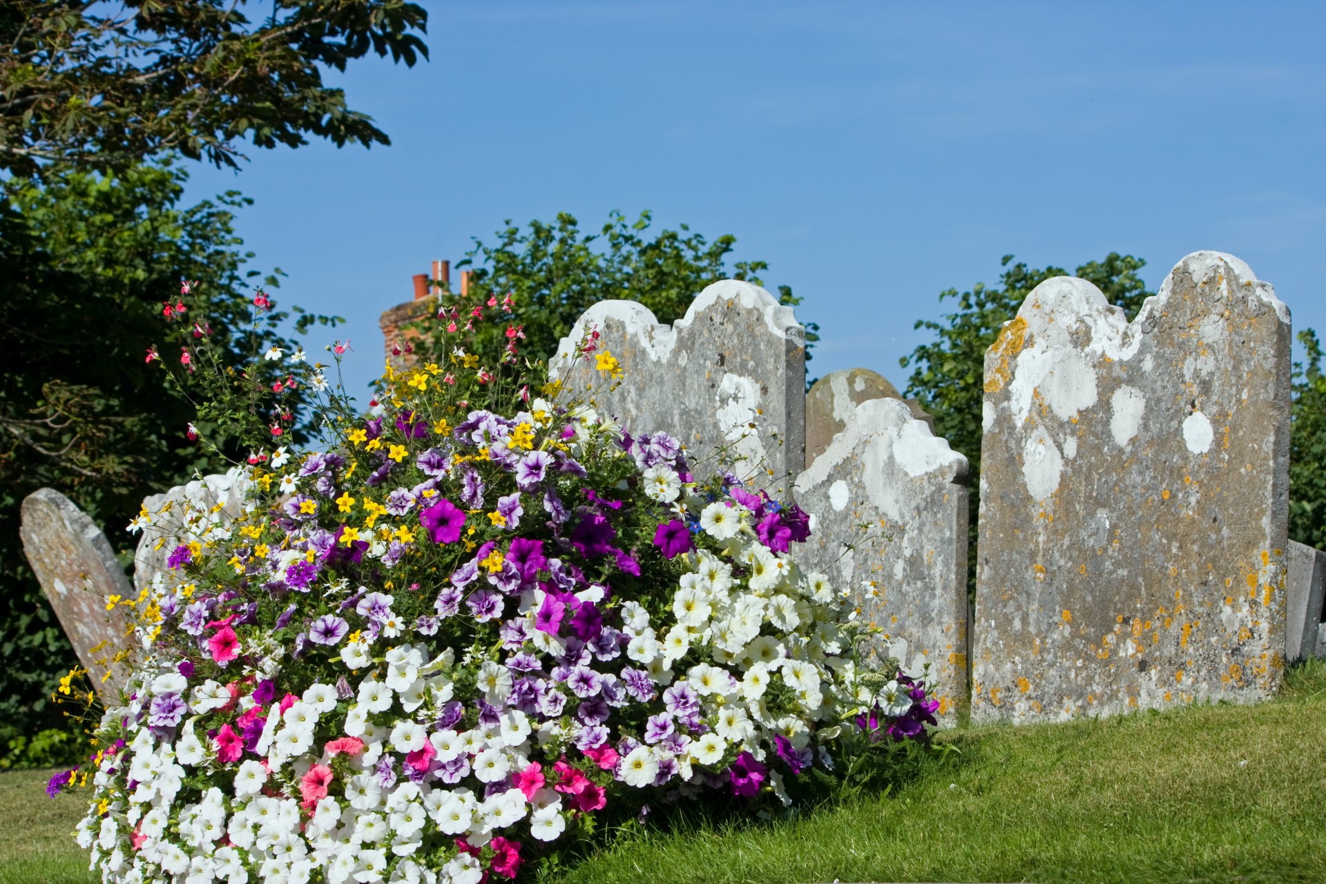 headstone flowers sky free photo