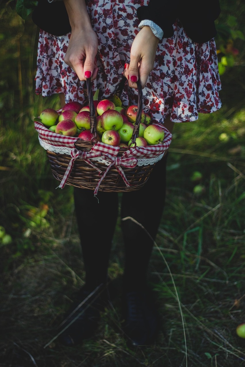 healthy fruits apples free photo