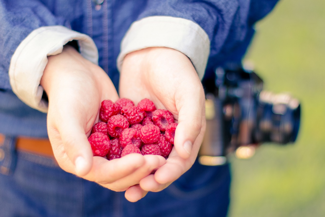 healthy hands fruits free photo