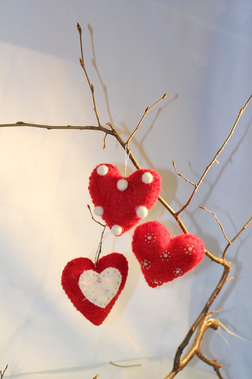 heart red branch free photo