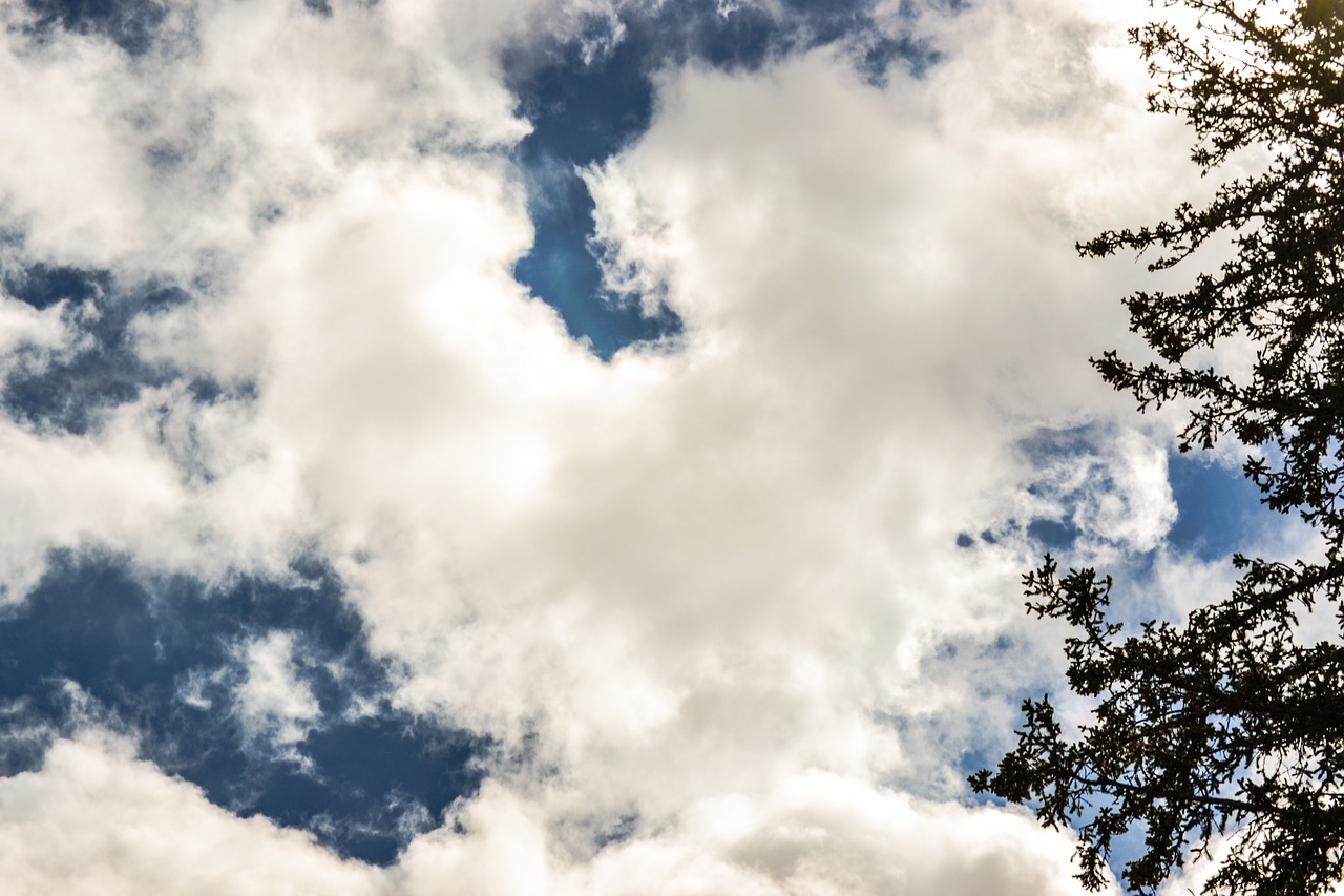 cloud color sky free photo