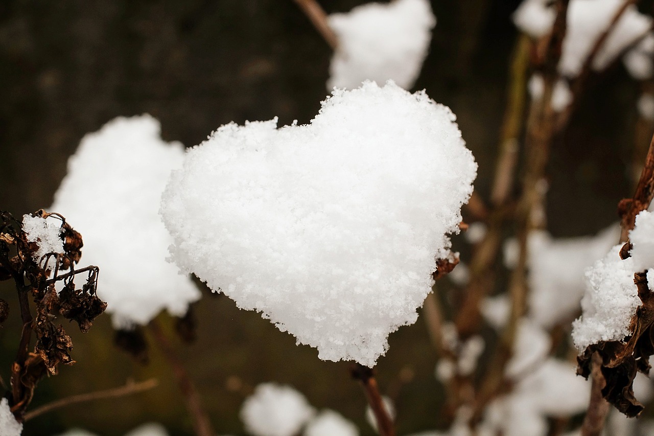 heart snow snow heart free photo