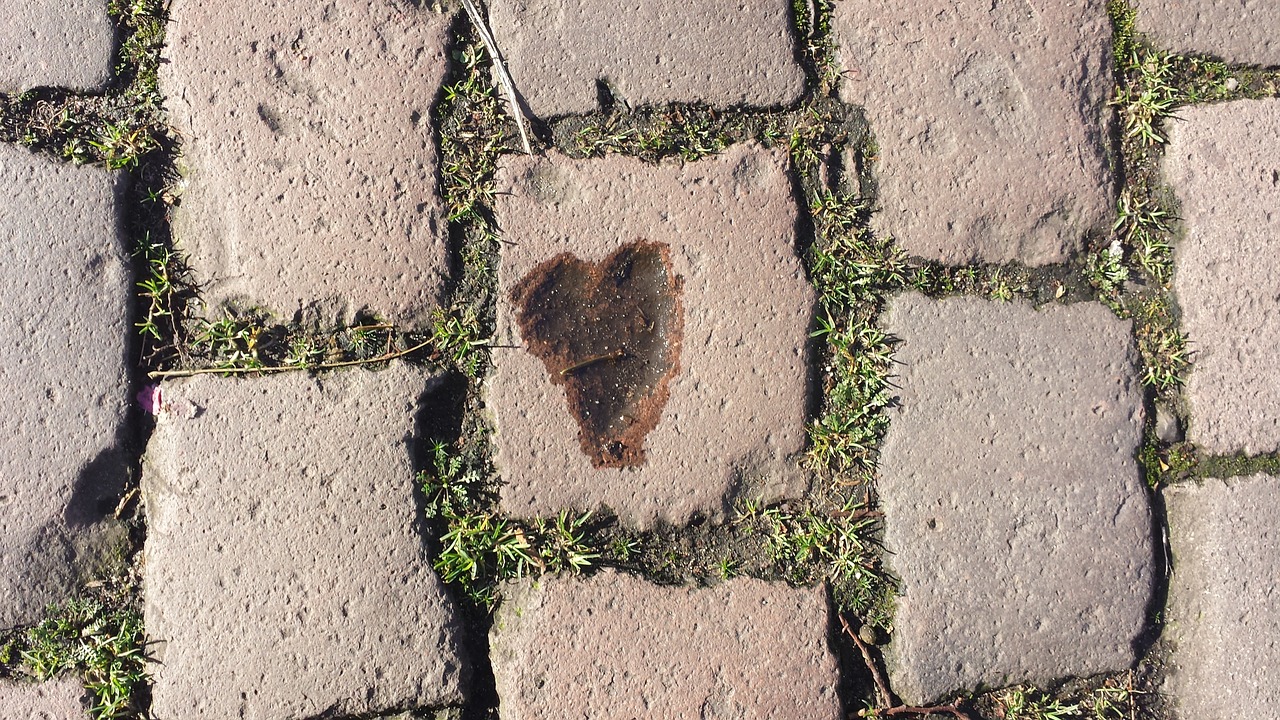 heart paving stones water free photo