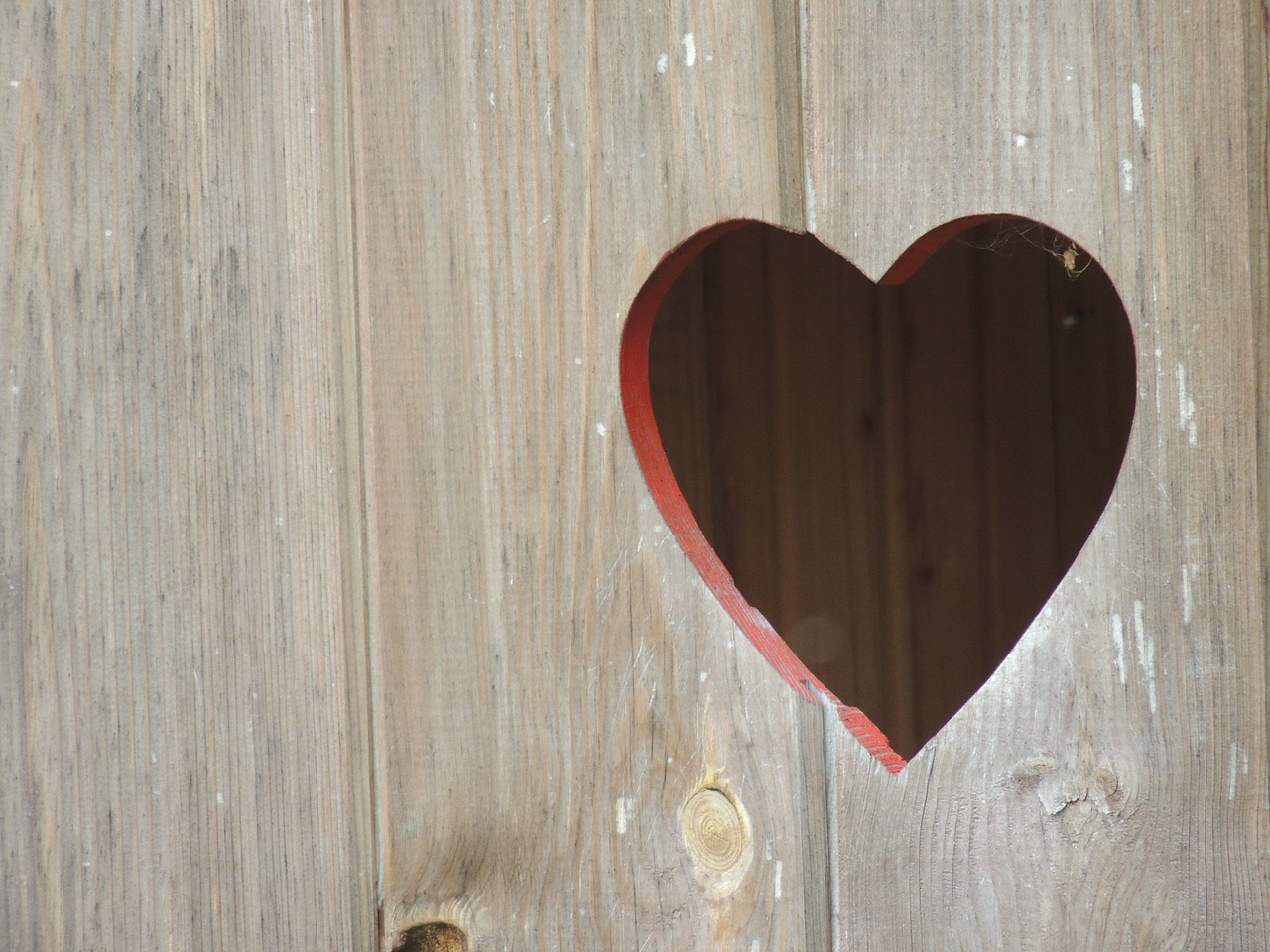 heart valentine's day love free photo