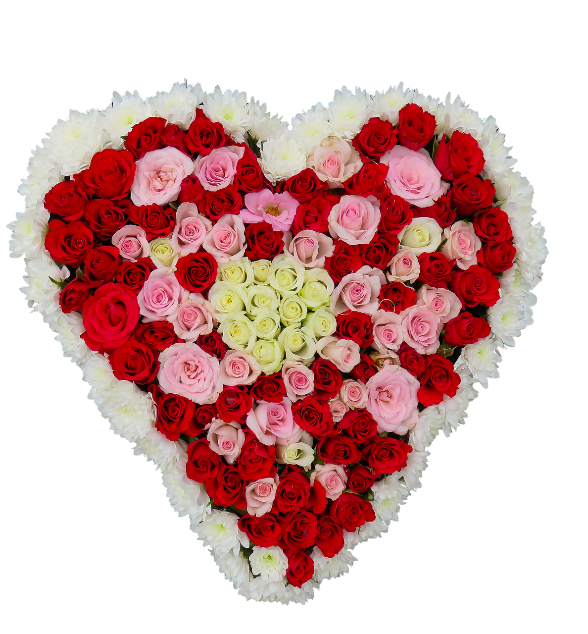 heart flowers roses free photo