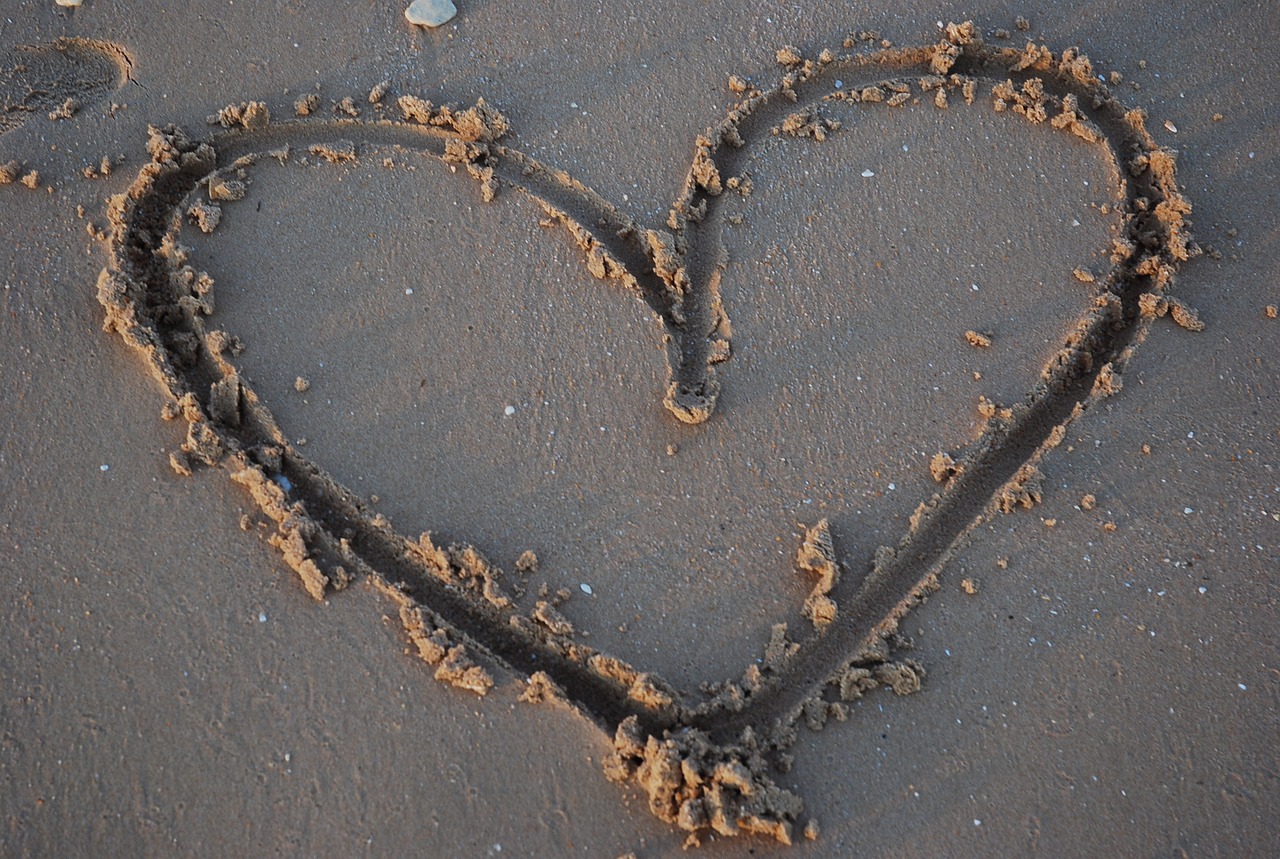 heart sand shell free photo