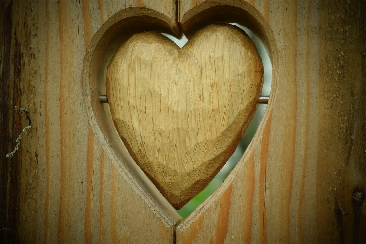 heart wood nature free photo