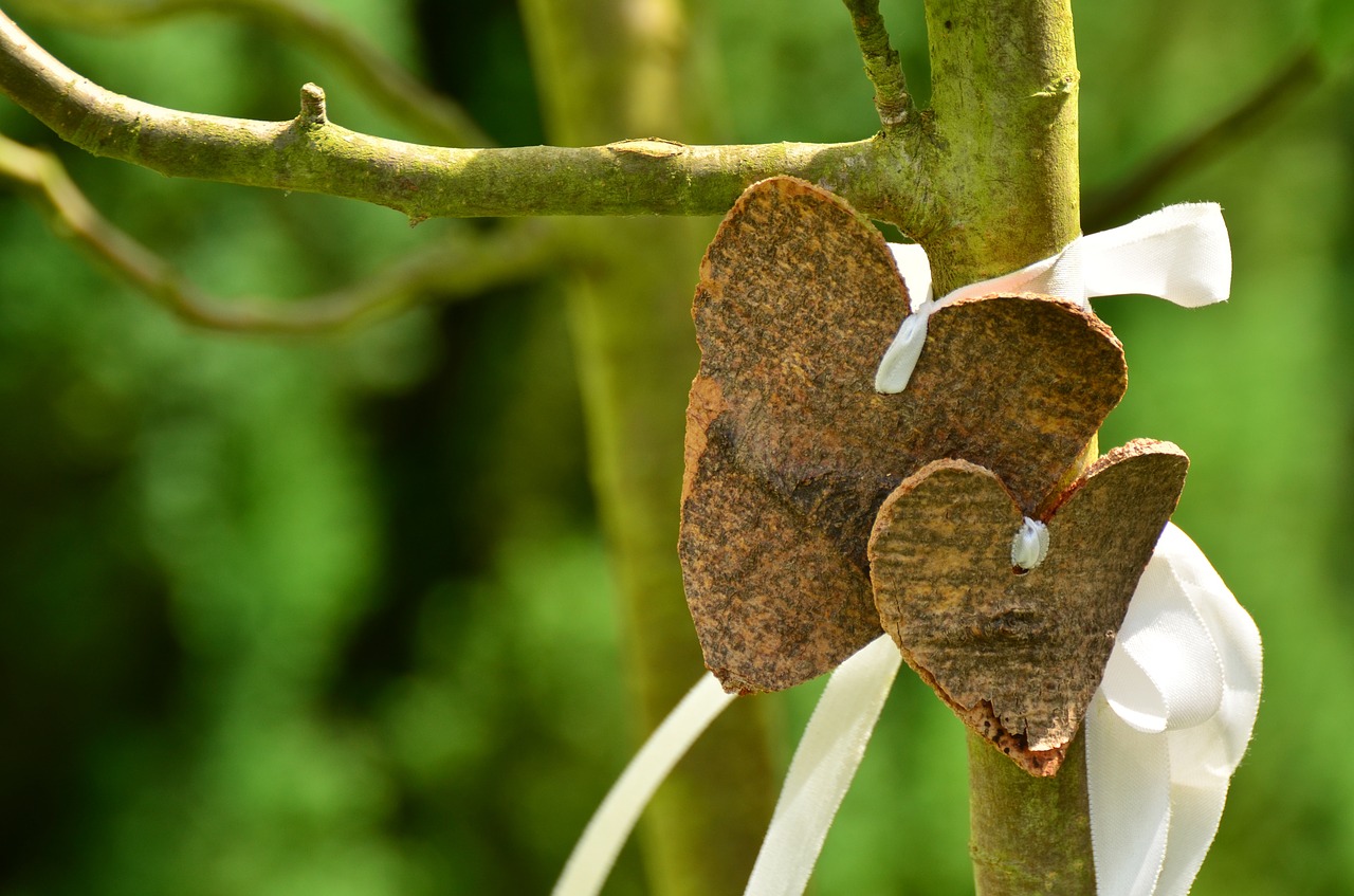 heart love bark free photo