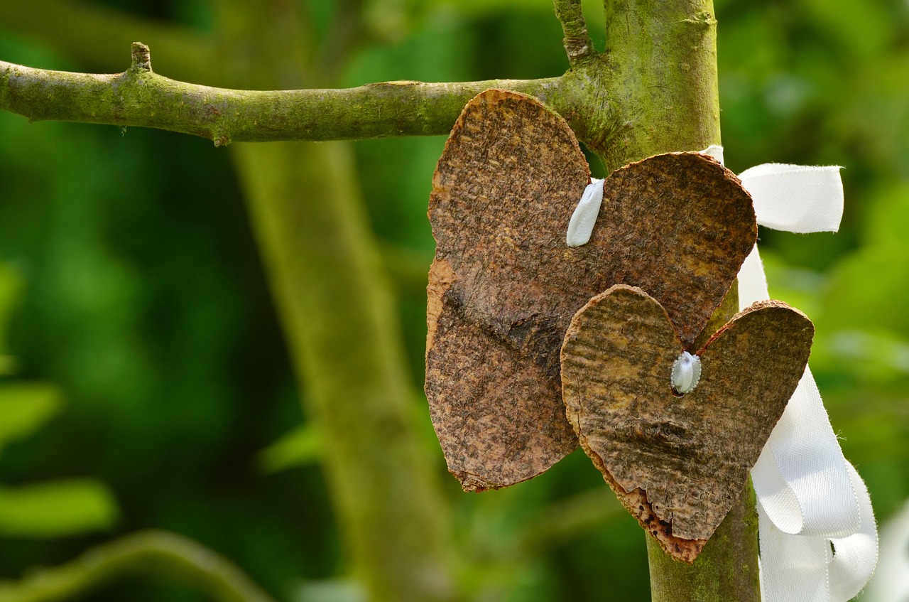 heart love bark free photo