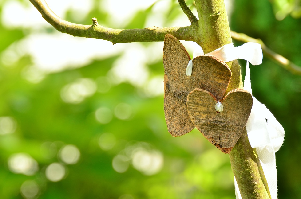 heart love bark free photo