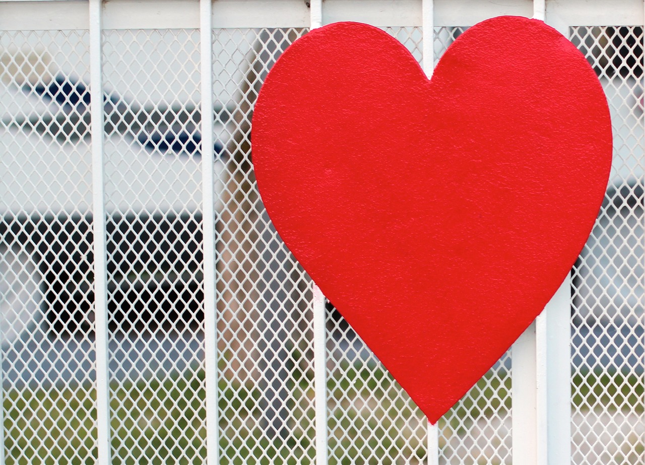 heart red love free photo