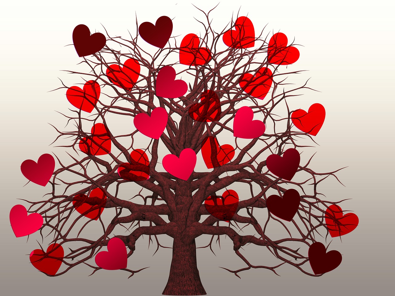 heart tree love free photo